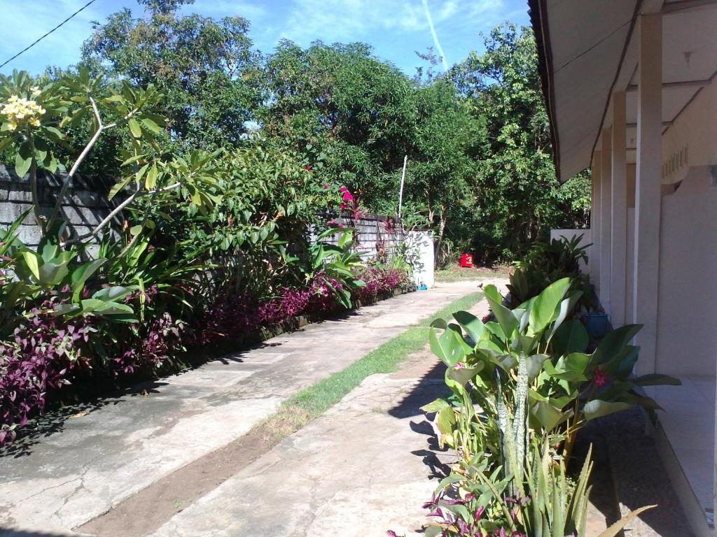 Bali Natural Homestay ジンバラン エクステリア 写真